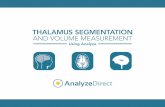 THALAMUS SEGMENTATION AND VOLUME MEASUREMENT …analyzedirect.com/.../thalamus_segmentation_and_volume_measurement.pdf · TAAMUS SMTATI A VUM MASURMT USI AAYZE 3 Introduction Thalamic