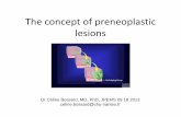 The concept of preneoplastic lesions - u-szeged.hu · The concept of preneoplastic lesions Dr Céline Bossard, MD, PhD, JPEMS 09 18 2013 celine.bossard@chu-nantes.fr