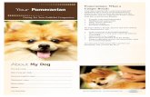 Pomeranians: What a Unique Breed! - askmyvet.net · Pomeranians: What a Unique Breed! Your dog is special! She’s your best friend and companion and a source of unconditional love.
