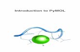 Introduction to PyMOLepolinko/IntroPyMOL.pdf · ﬁle named 1t46.pdb. Your PyMOL should now look like Figure 2, except that the initial colors may be different. At this time, please