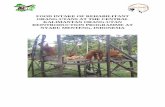 FOOD INTAKE OF REHABILITANT ORANG-UTANS AT THE … · Food Intake of Rehabilitant Orang-utans at the Central Kalimantan Orang-utan Reintroduction Programme at Nyaru Menteng, Indonesia