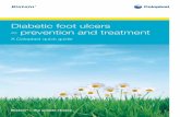 Diabetic foot ulcers – prevention and treatment · Diabetic foot ulcers – prevention and treatment A Coloplast quick guide. ... Pathway to clinical care and clinical evidence