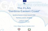The FLAG “Sardinia Eastern Coast” - Europa FLAG “Sardinia Eastern Coast” Sardinia Eastern Coast toward 2020 Territory, actors, strategy Fabrizio Selenu President of FLAG Forte