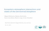 Ecosystem atmosphere interactions and states of the ... · Ecosystem‐atmosphere interactions and states of the (terrestrial) biosphere Miguel Mahecha, Markus Reichstein, Nuno Carvalhais,