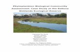 Phytoplankton Biological Community Assessment: Case … · Phytoplankton Biological Community Assessment: Case Study at the Ballona Wetlands Ecological Reserve Vanessa De Anda Jessie