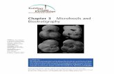 Chapter 3 Microfossils and Biostratigraphy - wiley.com · marine plankton groups through time. From Gradstein, 1987. PHYTOPLANKTON Million Years 0 Age Nannofossils Abundance Diversity