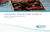 GC Stock Assessment Report 2018 · Web viewIn 2016/17, the total allowable commercial catch (TACC) for giant crab was 10.5 tonnes. The total landed catch was 10.4 tonnes, which was