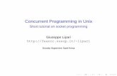 Concurrent Programming in Unix - ReTiS Labretis.sssup.it/~lipari/courses/OS_CP/sockets.pdf · Concurrent Programming in Unix Short tutorial on socket programming Giuseppe Lipari lipari