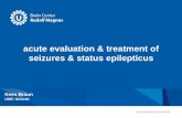 acute evaluation & treatment of seizures & status epilepticus · acute evaluation & treatment of seizures & status epilepticus Kees Braun UMC Utrecht