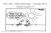 Bio 230 - Microbiology - Spring 2012 Study Guide 17simon/bio230/class/mic_class17_12.pdf · Bio 230 - Microbiology - Spring 2012 Study Guide 17 ... In Situ Analysis of Phototrophic