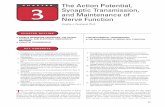 CHAPTER 3 The Action Potential, Synaptic Transmission, and ... · The Action Potential, Synaptic Transmission, and Maintenance of Nerve Function Cynthia J. Forehand, Ph.D. CHAPTER3