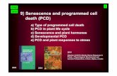 9) Senescence and programmed cell death (PCD)aix-slx.upol.cz/~fellner/doc/PMP_9a-e.pdf · PMP 9) Senescence and programmed cell death (PCD) a) Type of programmed cell death b) PCD