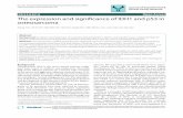 ResearchThe expression and significance of IDH1 and p53 in ... · Hu et al. Journal of Experimental & Clinical Cancer Research 2010, 29:43 ... Osteosarcoma patients with High IDH1