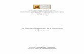 THE INSTITUTE OF BRAZILIAN BUSINESS & PUBLIC MANAGEMENT ...ibi/minerva/Spring2009/Flavia.pdf · THE INSTITUTE OF BRAZILIAN BUSINESS & PUBLIC MANAGEMENT ISSUES (IBI) THE MINERVA PROGRAM