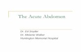 The Acute Abdomen - iihsdphy.weebly.comiihsdphy.weebly.com/uploads/8/0/2/4/8024844/the_acute_abdomen.pdf · Causes of the Acute Abdomen ... History of trauma, gross deformity, extreme