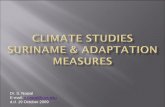 Dr. S. Naipal E-mail: s.naipal@uvs.edu d.d. 19 October 2009 · to assess Suriname’s ability to mitigate the impacts of climate change including that of the ASLR • estimation of