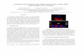Estimation and Analysis of the Deformation of the Cardiac ... · Estimation and Analysis of the Deformation of the Cardiac Wall using Doppler Tissue Imaging. Valerie´ Moreau Laurent