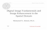 Digital Image Fundamentals and Image Enhancement in the ...dylucknow.weebly.com/uploads/6/7/3/1/6731187/spatial_domain... · 8/28/20 04 University of Louisville Digital Image ProcessingDigital