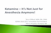 Terry Clifford, MSN, RN, CPAN ASPAN 2010-2011 Immediate ...intranasal.net/Peer Reviewed literature/Clifford Ketamine overview... · Ketamine has been used as an adjuvant analgesic