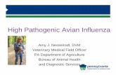 High Pathogenic Avian Influenza - pacd.org · Timeline of HPAI Events in PA & US History HPAI: 1878 –AI first recorded in Italy, known as Fowl Plague 1924 –first US reported case