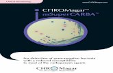 C.krusei C.albicans - CHROMagar Chromogenic Media · C.albicans C.krusei CHROMagar TM mSuperCARBATM For detection of gram-negative bacteria with a reduced susceptibility to most of