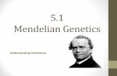 5.1 Mendelian Genetics - .Mendelian Genetics Understanding Inheritance . Genetics Genetics is the