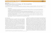 Reproductive ecology of Drosophila - University of California, …labs.biology.ucsd.edu/markow/articles/Markow and OGrady... · 2009-07-03 · Functional Ecology, 22, 747–759, of