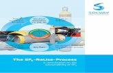 The SF6-ReUse-Process A contribution on the sustainability ... · 3 PROCESS FOR REUSING USED SF 6 GAS - A Contribution towards SF 6 Sustainability - CONTENTS 1 INTRODUCTION 2 –THE