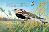 A Land Manager’s Guide to Grassland Birds of Saskatchewan · The Challenge Many species of grassland birds are less common now than they were in the 1960s when individuals first