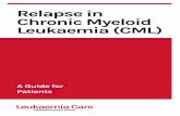 Relapse in Chronic Myeloid Leukaemia (CML) · 2 A relapse is the return of leukaemia after treatment. Specifically, this booklet is about a relapse in chronic myeloid leukaemia (CML).