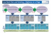 Pathway on a Page LBP and Sciatica · 1.4 Self. Low Back Pain and Sciatica – Pathway on a Page. 2.4 Diagnostics (Dx) 3.4 Diagnostics (Dx) 4.4 Diagnostics (Dx) 2.0 Primary Care Assessment