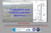Zooplankton and estuary food web dynamics - Delta Stewardship …deltacouncil.ca.gov/.../documents/files/CABA-Foodweb-2014-Souissi.pdf · Zooplankton and estuary food web dynamics