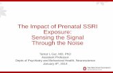 The Impact of Prenatal SSRI Exposure: Sensing the Signal Through … · The Impact of Prenatal SSRI Exposure: Sensing the Signal Through the Noise Tamar L Gur, MD, PhD Assistant Professor