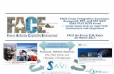 FACE Cross-Integration Successes Honeywell, RTI, and TES-SAVi … · 2017-04-05 · 5 Honeywell’s EGI and RTI’s DDS TSS integrated with FACE BALSA • TES-SAVi merged Honeywell’s
