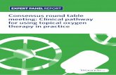 Consensus round table meeting: Clinical pathway for using ... · CLINICAL PATHWAY FOR USING TOPICAL OXYGEN THERAPY IN PRACTICE | 1 The history of oxygen therapy in wound healing The