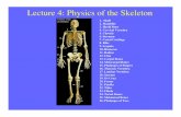 Lecture 4: Physics of the Skeletonresearch.physics.lsa.umich.edu/chupp/Physics290/2003Lecture4.pdf · Lecture 4: Physics of the Skeleton 1. Skull 2. Mandible 3. Hyoid Bone 4. Cervical
