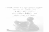 1 Inleiding - essay.utwente.nlessay.utwente.nl/59111/2/Sizoo-M-S0136514-Verslag.doc  · Web viewbinnen de Intensieve Orthopedagogische Gezinsbehandeling, een meerwaarde of niet?