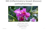 IBD (Inflammatory bowel disease) pathophysiology - pnds. IBD (Inflammatory bowel disease) pathophysiology