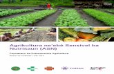 Agrikultura ne’ebé Sensivel ba Nutrisaun (ASN)tomak.org/wp-content/uploads/2018/07/NSA-facilitator...• Spidol • Lista partisipante • Kadernu • Lapizera • Stick note •