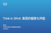 Think in SRv6 - cisco.com · • Hdr Ext Len: Any IPv6 device can skip this header • Segments Left: Ignore extension header if equal to 0 • Routing Type field: • 0 Source Route