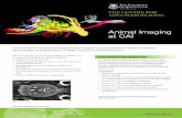 Animal Imaging at CAI - Centre for Advanced Imaging Animal Imaging brochure... · The Centre for Advanced Imaging (CAI) contains a comprehensive range of imaging technologies and