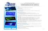 A Bioluminescent Gallery - oceanexplorer.noaa.gov · 2  Bioluminescence 2009:A Bioluminescent Gallery Grades 5-6 (Life Science/Physical Science) Maximum Number of Students 30