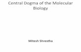 Biology - miteshshrestha.files.wordpress.com · Central Dogma •The central dogma of molecular biology deals with the detailed residue-by-residue transfer of sequential information.