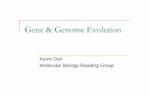 Gene & Genome Evolution - University of Washington · Amount of gene divergence due to mutation can estimate time of speciation Assume: 1 of 10^10 nucleotide mutates in each cell