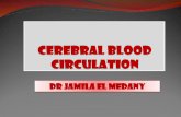 DR JAMILA EL MEDANY - ksumsc.com. Neuropsychiatry Block...Describe the arterial Circle of Willis . ... Circulus Arteriosus (of Willis) It joins the Carotid & Vertebrobasilar systems