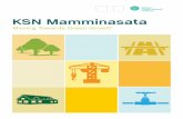 KSN Mamminasata - greengrowth.bappenas.go.idgreengrowth.bappenas.go.id/wp...2_KSN_Mamminasata_Booklet_ENGLISH.pdf · 6 KSN Mamminasata KSN Mamminasata is located in the province of