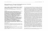 Recombinant Human Retinoblastoma Protein ... fileVol.6,673-680, june 1995 CellGrowth &Differentiation 673 Recombinant Human Retinoblastoma Protein InhibitsCancerCellGrowth’ LanceC.Pagliaro,DouglasAntelman,