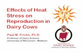 Effects of Heat Stress on Reproduction in Dairy Cows · Effects of Heat Stress on Reproduction in Dairy Cows Paul M. Fricke, Ph.D. Professor of Dairy Science University of Wisconsin