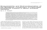 Bioavailability Biotransformation of Mutagenic Component ... · Environmental Health Perspectives Vol. 47, pp. 269-281, 1983 Bioavailability and Biotransformation of the Mutagenic