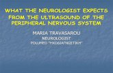WHAT THE NEUROLOGIST EXPECTS FROM THE ULTRASOUND … filewhat the neurologist expects from the ultrasound of the peripheral nervous system ... tumors-tumor like iatrogenic syndromes